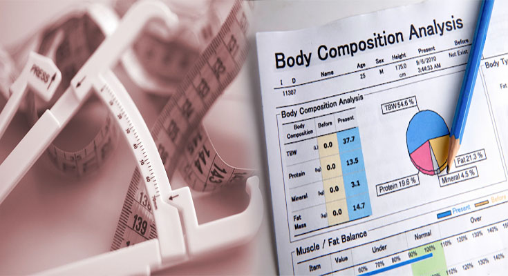 How to Accurately Measure and Track Body Fat Percentage for Overall Health